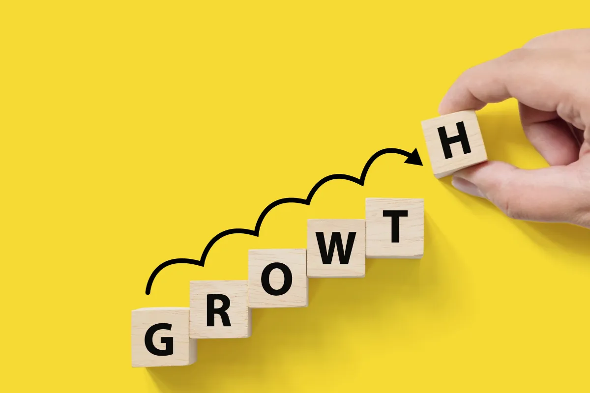 the importance of a digital marketing strategy for Canadian businesses