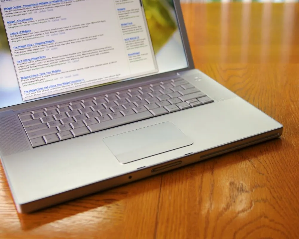 langley seo marketing